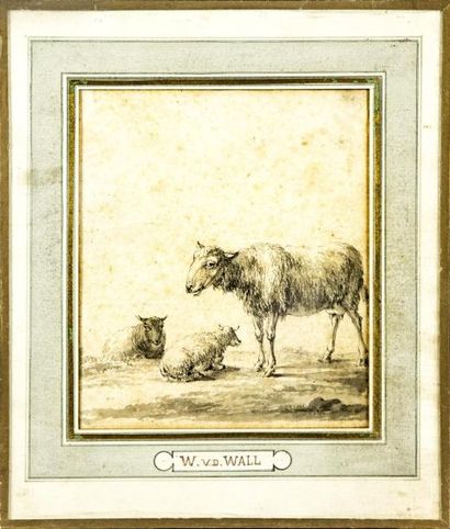 W.V.D WALL (XIXe) W.V.D Wall (XIXe) Les Moutons Dessin sur papier au crayon