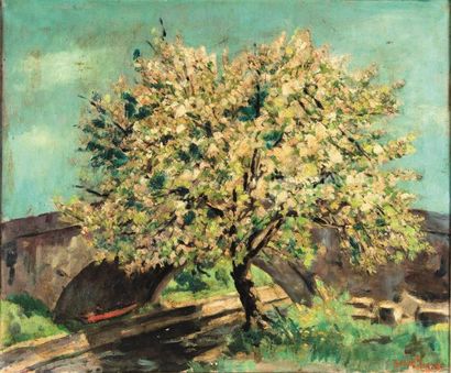 Adrien SEGERS Adrien SEGERS (1876-1950) Cerisier en fleurs Huile sur toile signée...