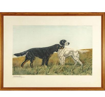 null Léon DANCHIN (1887-1938)
Gravure 
Chiens de chasse à l'arrêt : Setter anglais...