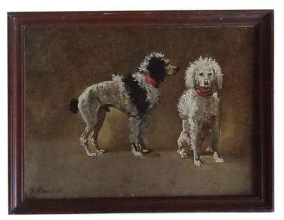 null Charles BOMBLED (1862-1927) 

Etudes de chiens

Huile sur toile

Signé en bas...