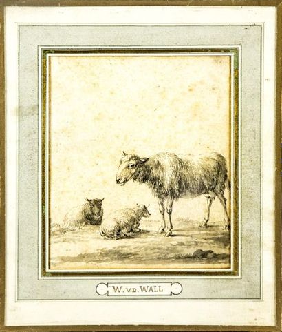 null W.V.D Wall (XIXe)
Les Moutons
Dessin sur papier au crayon