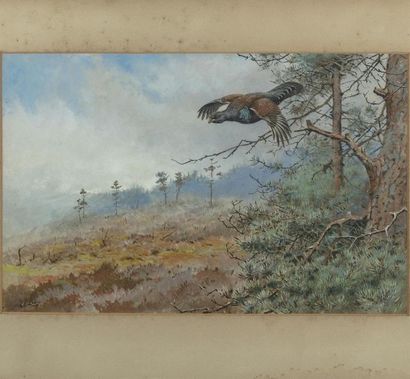 null George Edouard LODGE (1860-1954)
L'envol
Gouache sur papier
28 x 43 cm