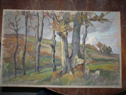 Etienne de MARTENNE ( 1868 - 1920) A l'automne en Morvan Huile sur papier sur carton...