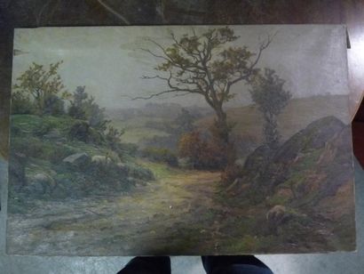 Etienne de MARTENNE ( 1868 - 1920) Paysage au sentier. Huile sur toile. 54,5 x 81,5...