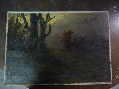 Etienne de MARTENNE ( 1868 - 1920) En forêt Huile sur carton. 39,5 x 56 cm