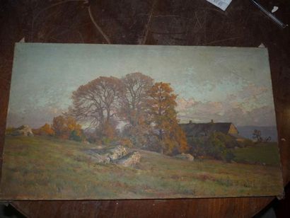 Etienne de MARTENNE ( 1868 - 1920) Ferme aux arbres roux. Huile sur toile. 40 x 70...