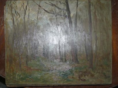 Etienne de MARTENNE ( 1868 - 1920) Arbres à l'automne, arbres en hiver, sous bois,...