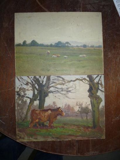 Etienne de MARTENNE ( 1868 - 1920) Troupeau de vaches Huile sur isorel. 24 x 33 ...