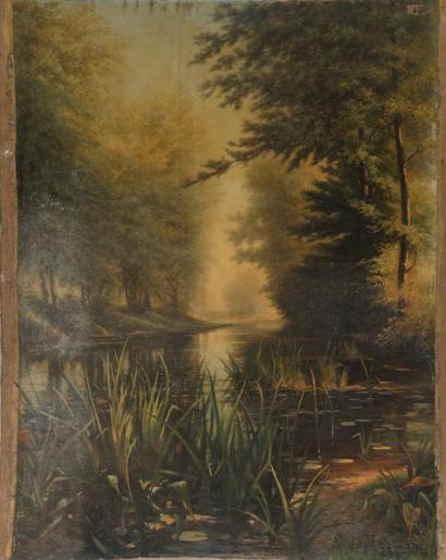 Etienne de MARTENNE ( 1868 - 1920) Bord d'étang. Effet de lumière. Huile sur toile...