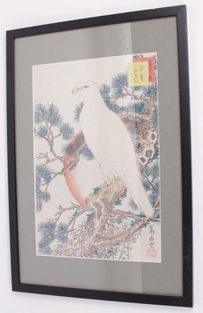null SUGAKUDO (élève d'Hiroshige) 
Oban tate-e : faucon au plumage blanc de profil...