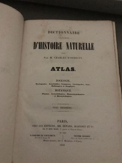 null Charles D'ORBIGNY, Dictionnaire universel d'Histoire naturelle. Editions Renard...