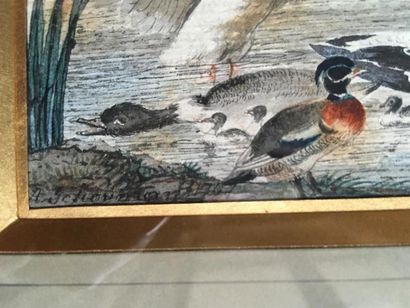 null Aert SCHOUMAN (1710-1792)
Cygne en envol et canards
Encre et aquarelle, signé...