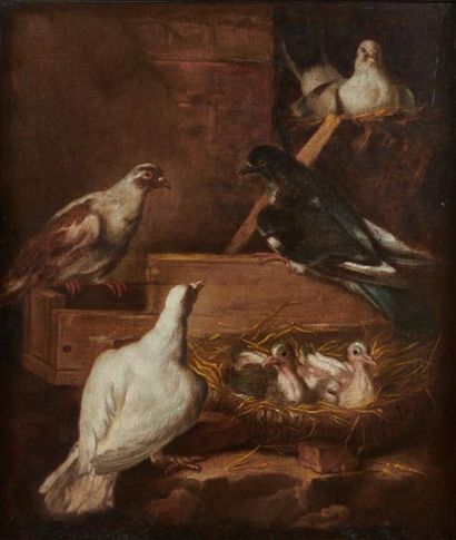 null Attribué à jacob Van de KERKHOVE dit CASTELLO (vers 1649-1712)
Pigeons dans...