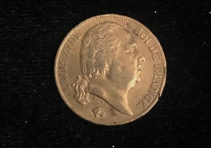null ** 1 pièce de 20 francs or Louis XVIII 1818 
Frais de vente : 9,6 % TTC