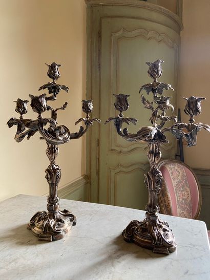 null Pair of silver bronze candelabra with four light arms. 

Rocaille style. 

H....