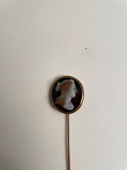 null Tie pin in 18K 750/000 yellow gold with a cameo with a woman's profile 

Gross...