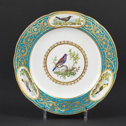 null Sèvres

Assiette en porcelaine tendre à décor polychrome d'oiseaux d'après Buffon...
