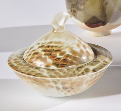 null Didier HOFT (born in 1957)

Covered pot with ovoid conical body and free draw....