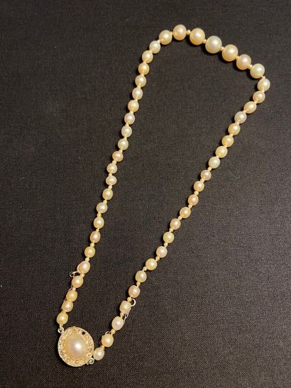 null Necklace of fifty-one fine pearls in fall alternated with small fine pearls...