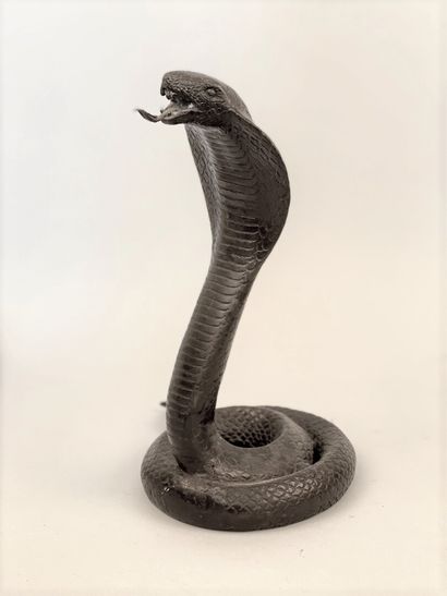 null COBRA in chased brass with a brown patina, standing in an attacking position....