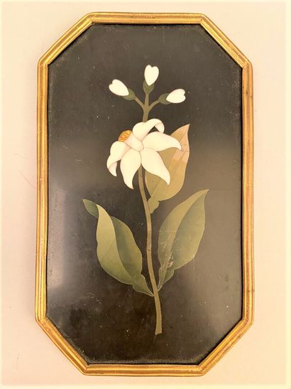 null Octagonal plate in marquetry of hard stone decorated with a white flower on...
