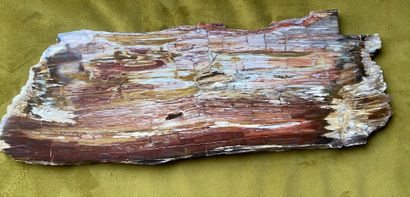 null petrified wood slat 

Size: 48 x 17 cm