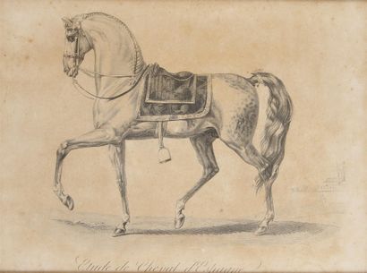 null After Carle VERNET 

Four equestrian engravings in pitchpin frames. 

Size at...