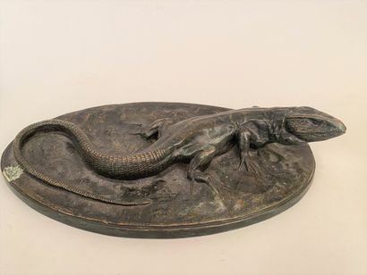 null 20th century FRENCH WORK 

Salamander on an oval flowerbed

Green patina bronze...