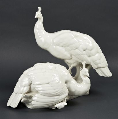 null NYMPHENBOURG

White enamelled porcelain group representing two peacocks on a...