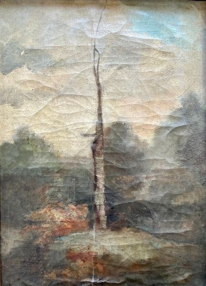 null ECOLE de la fin du XIXe siècle 

Paysage au tronc d'arbre

Huile sur toile marouflée

30...