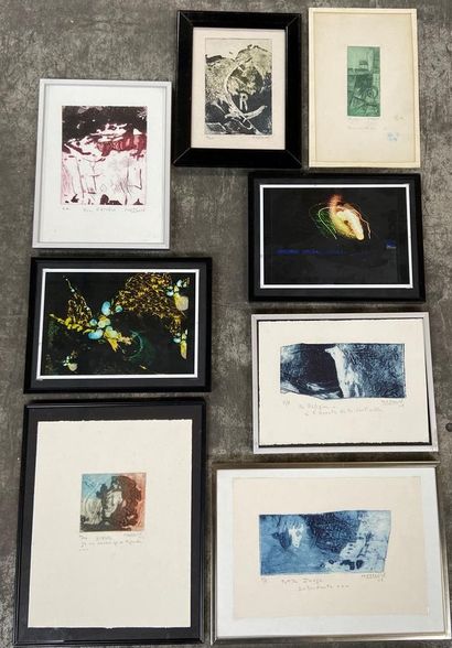 null Marie-Geneviève HAVEL (1931-2017)

Set of 6 engravings and 2 framed infogra...