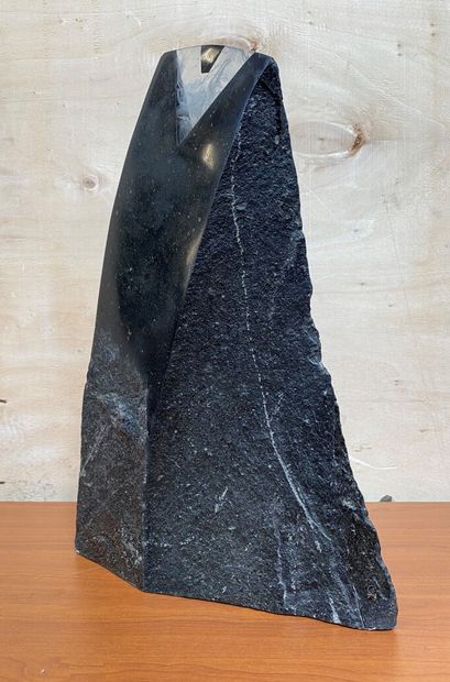 null Gérard FOURNIER

Noir et Blanc, 2007

Epreuve en basalte et verre. 

40 x 27...