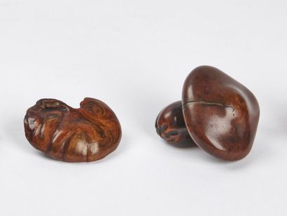 null JAPAN - 19th century

Two wooden netsuke : gnarled reishi and mushroom with...