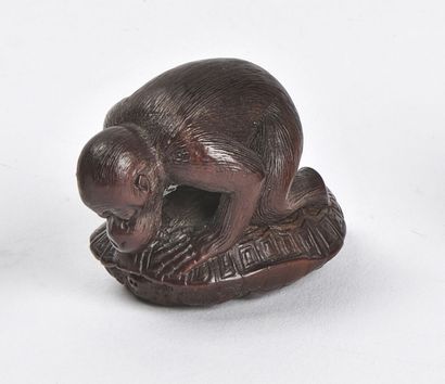 null JAPAN - MEIJI period (1868 - 1912)

Wooden netsuke, monkey climbing on a turtle,...
