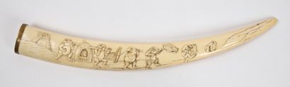 null JAPAN - MEIJI period (1868 - 1912)

Walrus tooth carved in relief with toads...