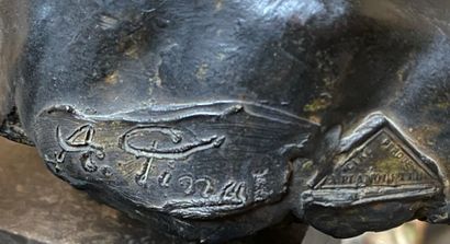 null Alfredo PINA (1883-1966)

Tête de bacchante

Sculpture en bronze à patine brune...