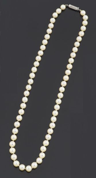null NECKLACE of fifty-eight pearls of culture choker, the clasp in white gold 750...