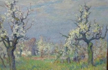 ATELIER Etienne de MARTENNE (1868-1920) Pommiers en fleurs. Huile sur toile signée...