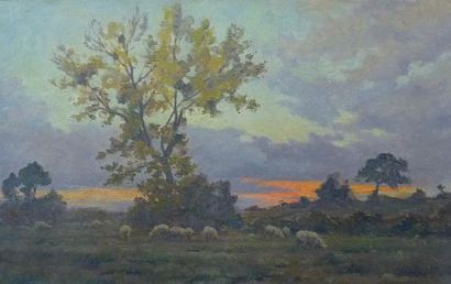 ATELIER Etienne de MARTENNE (1868-1920) Pâturage au soleil couchant. Huile sur toile....