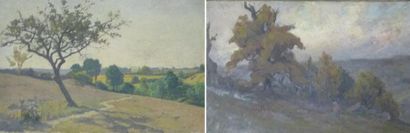 ATELIER Etienne de MARTENNE (1868-1920) Paysage rural au sentier et promenade dans...