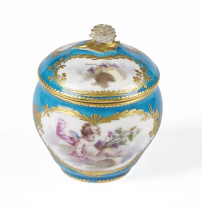 null SÈVRES

Hebert covered sugar pot in soft porcelain with polychrome decoration...