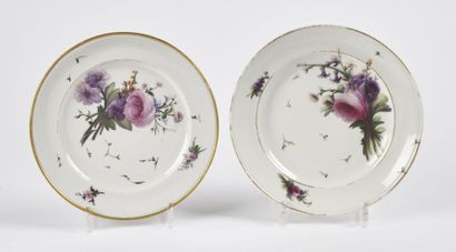 null Strasbourg

Deux assiettes en porcelaine à décor polychrome de bouquets de fleurs...