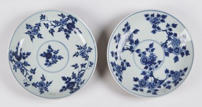 null Chine

Deux coupes en porcelaine à décor en camaïeu bleu d'arbustes fleuris,...