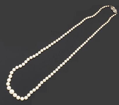 null NECKLACE of one hundred and one cultured pearls and imitation pearls in fall,...