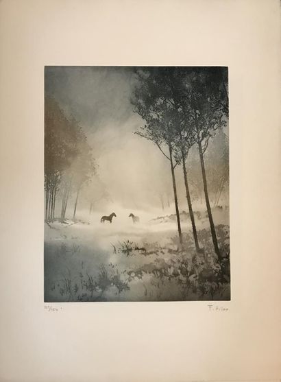 null André BONGIBAULT (1945) France HILON

Landscapes (The past, Flickering, Winter...