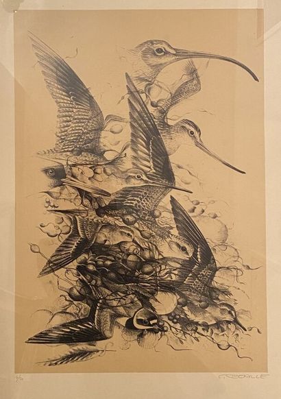 null SUITE DE TROIS GRAVURES encadrées : 

- Francis BÉRILLE (1945). Vol d'oiseaux....