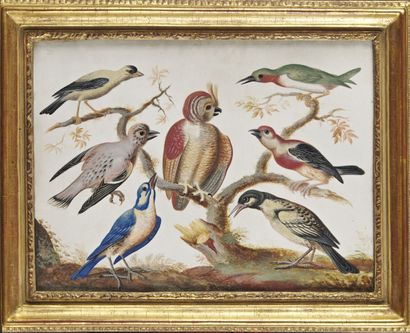 null Ecole française du XVIIIe siècle

Réunions d'oiseaux, une paire

Gouache sur...