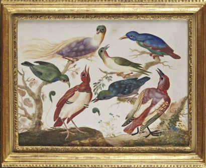 null Ecole française du XVIIIe siècle

Réunions d'oiseaux, une paire

Gouache sur...