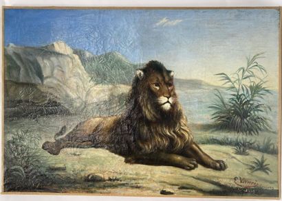 null E. VIVARES 

Lion couché

Huile sur toile, signée en bas à droite 

48,5 x 71...