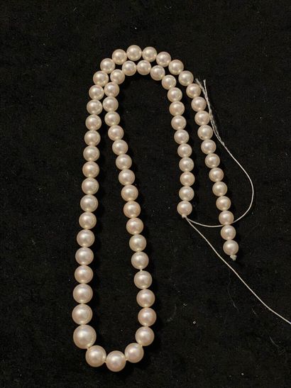 null Fil de soixante-huit perles de culture en chute.


(A enfiler).


Diamètre perles...
